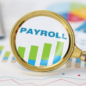 Picture of graph called payroll with a magnifying glass